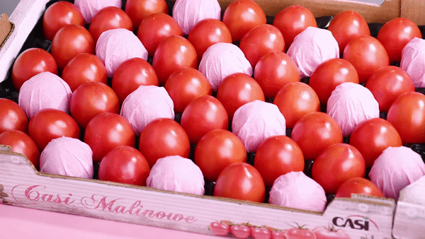 tomato-pink
